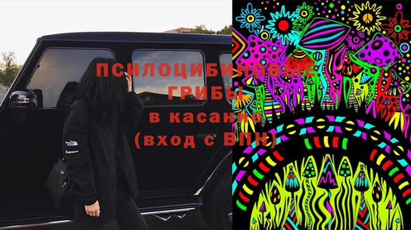 молекула духа Верея