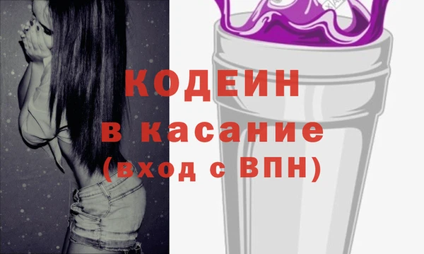 индика Верхний Тагил