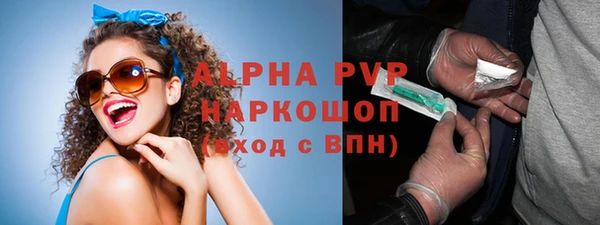 индика Верхний Тагил