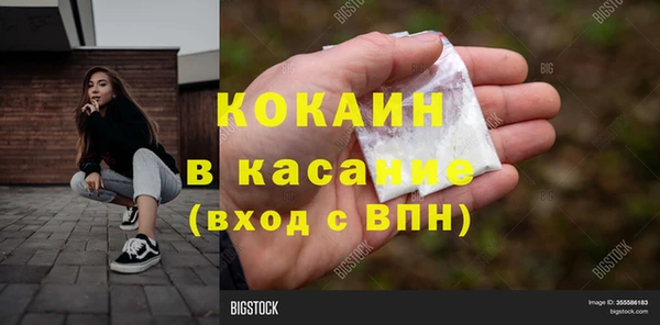 индика Верхний Тагил