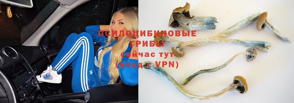 стаф Верхнеуральск