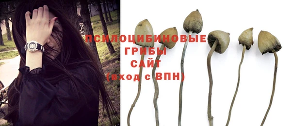 индика Верхний Тагил