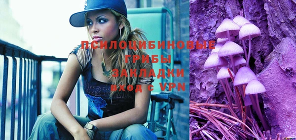 молекула духа Верея