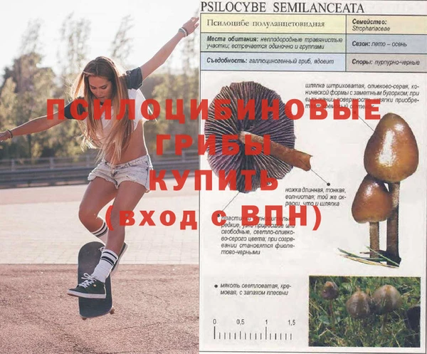 молекула духа Верея
