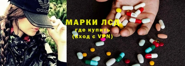 индика Верхний Тагил