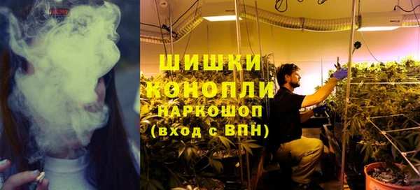 индика Верхний Тагил