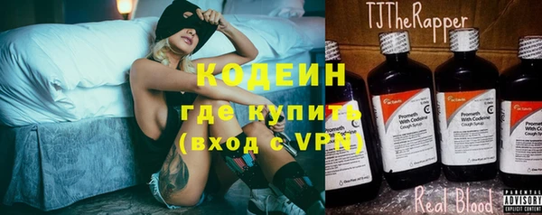 индика Верхний Тагил