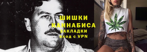 индика Верхний Тагил