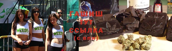 индика Верхний Тагил