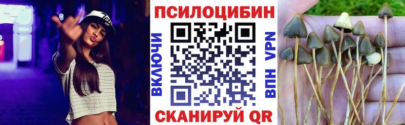 наркота  blacksprut сайт  Галлюциногенные грибы Psilocybine cubensis  Пушкино 